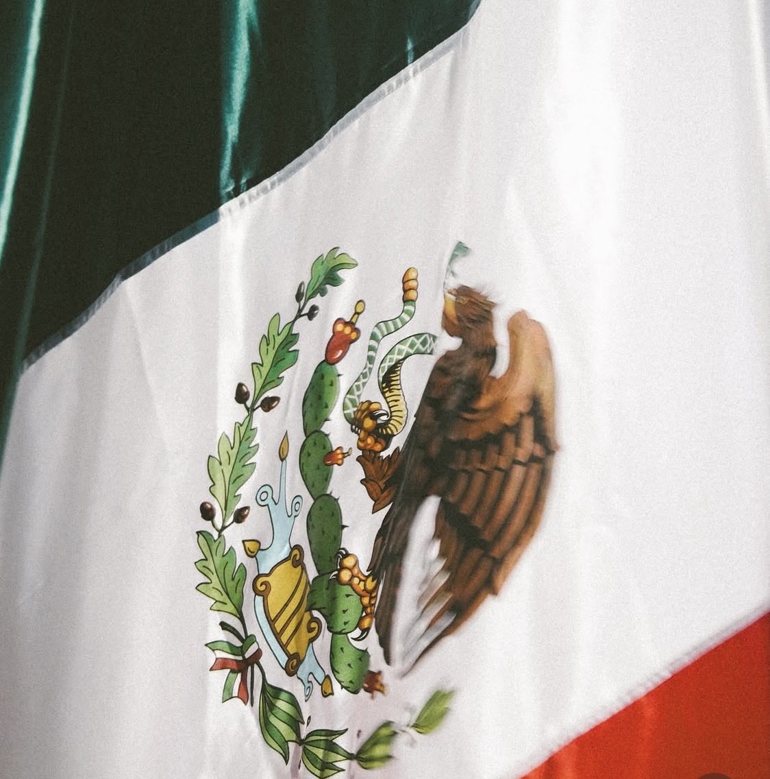 adrianpax's tweet photo. De qué te vas a disfrazar mañana @DavidFaitelson_ ? Viva México ❤️‍🔥 https://t.co/J5qCmn1nMz