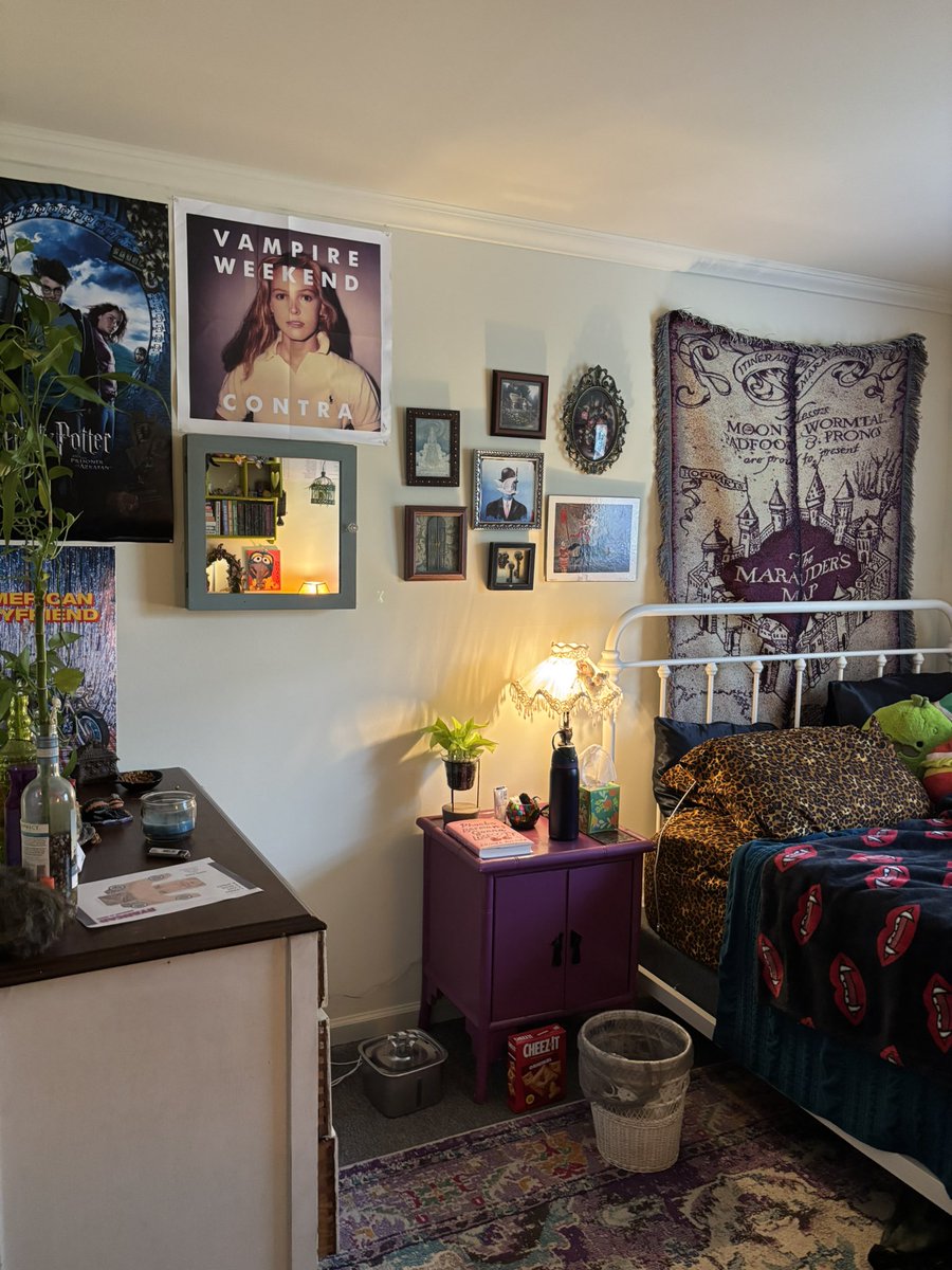 eat1ngdrywall's tweet photo. bedroom of a 25 year old woman https://t.co/K4DzYSELIb