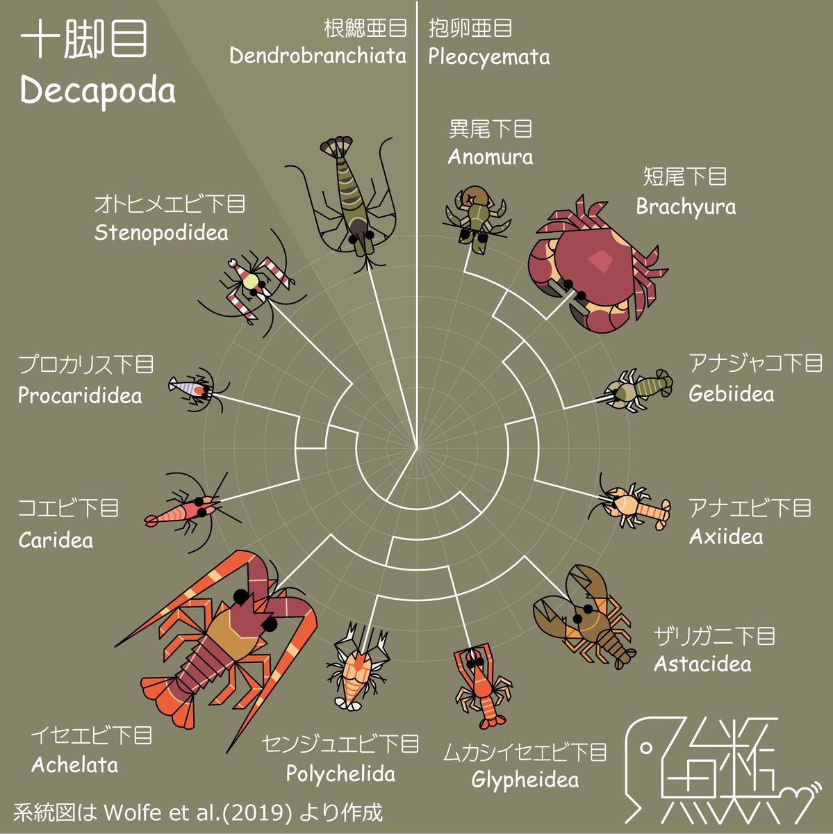 285ne10's tweet photo. ゆる十脚目 (下目レベル)

番外編です🦐 https://t.co/L0QKsXMZzS