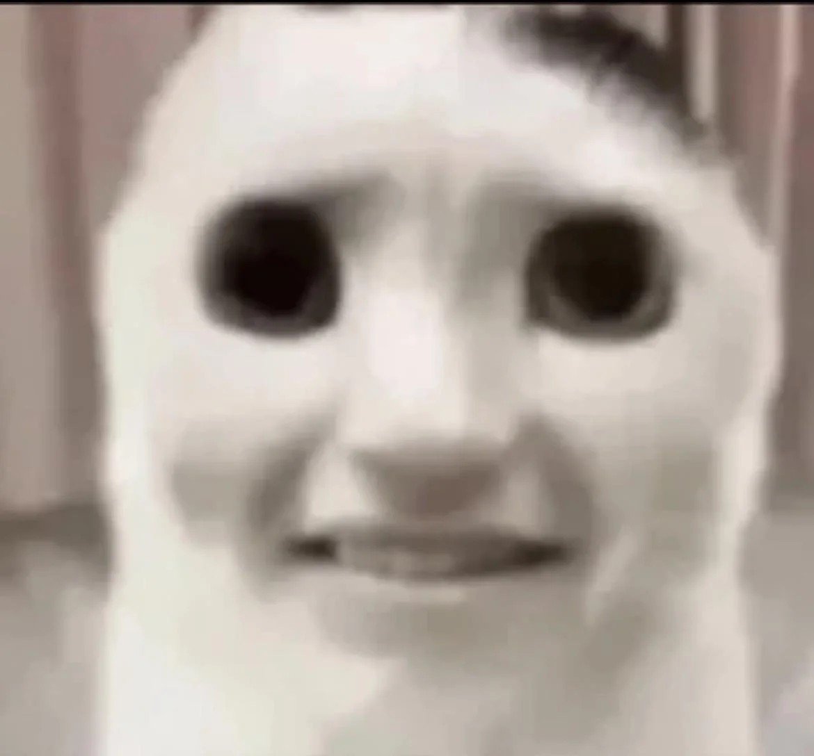 𝘽𝙧xx𝙡 tweet media