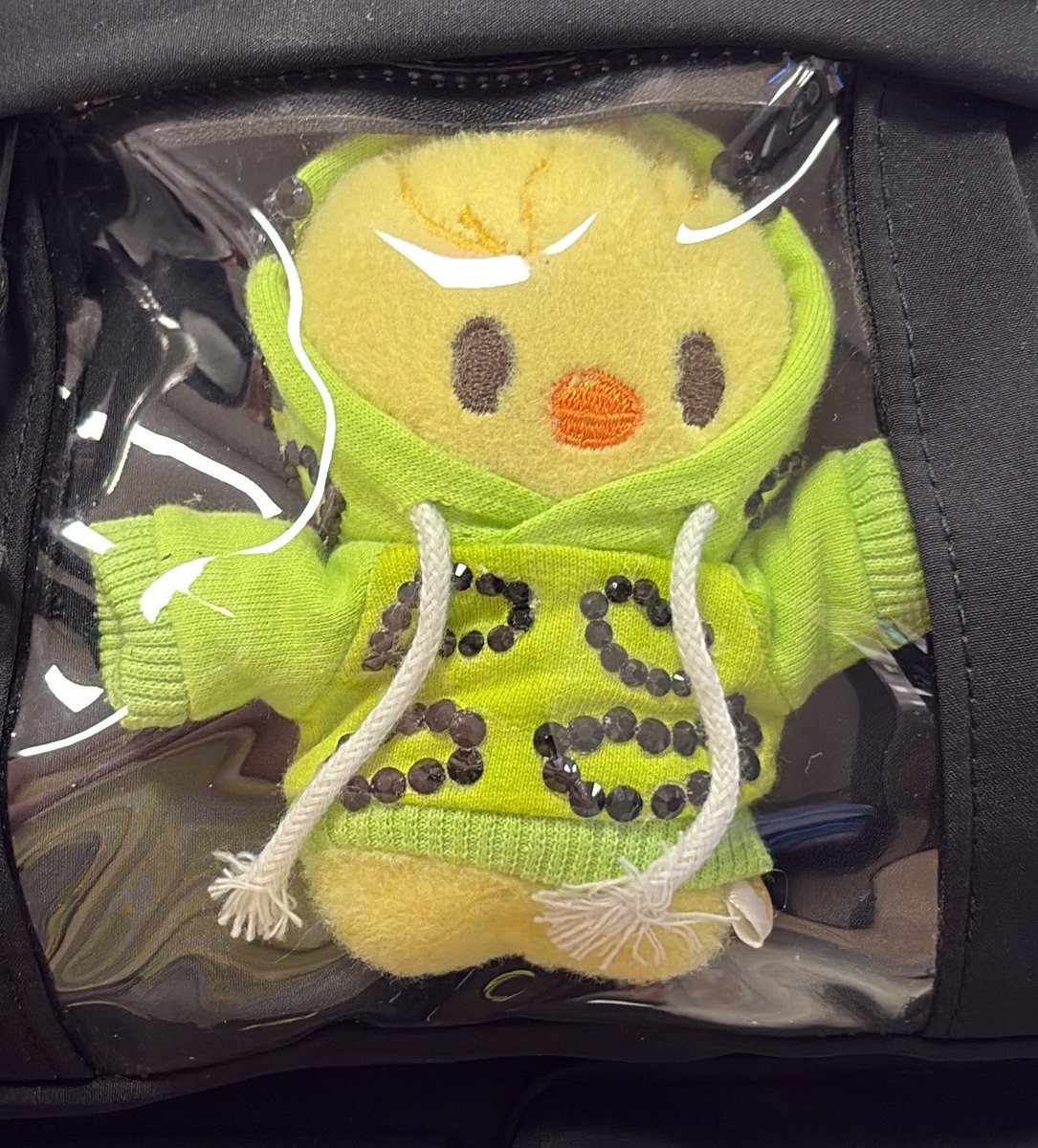 solareclixx's tweet photo. bbokari is traveling today 😋 https://t.co/GxvlI0r9gK
