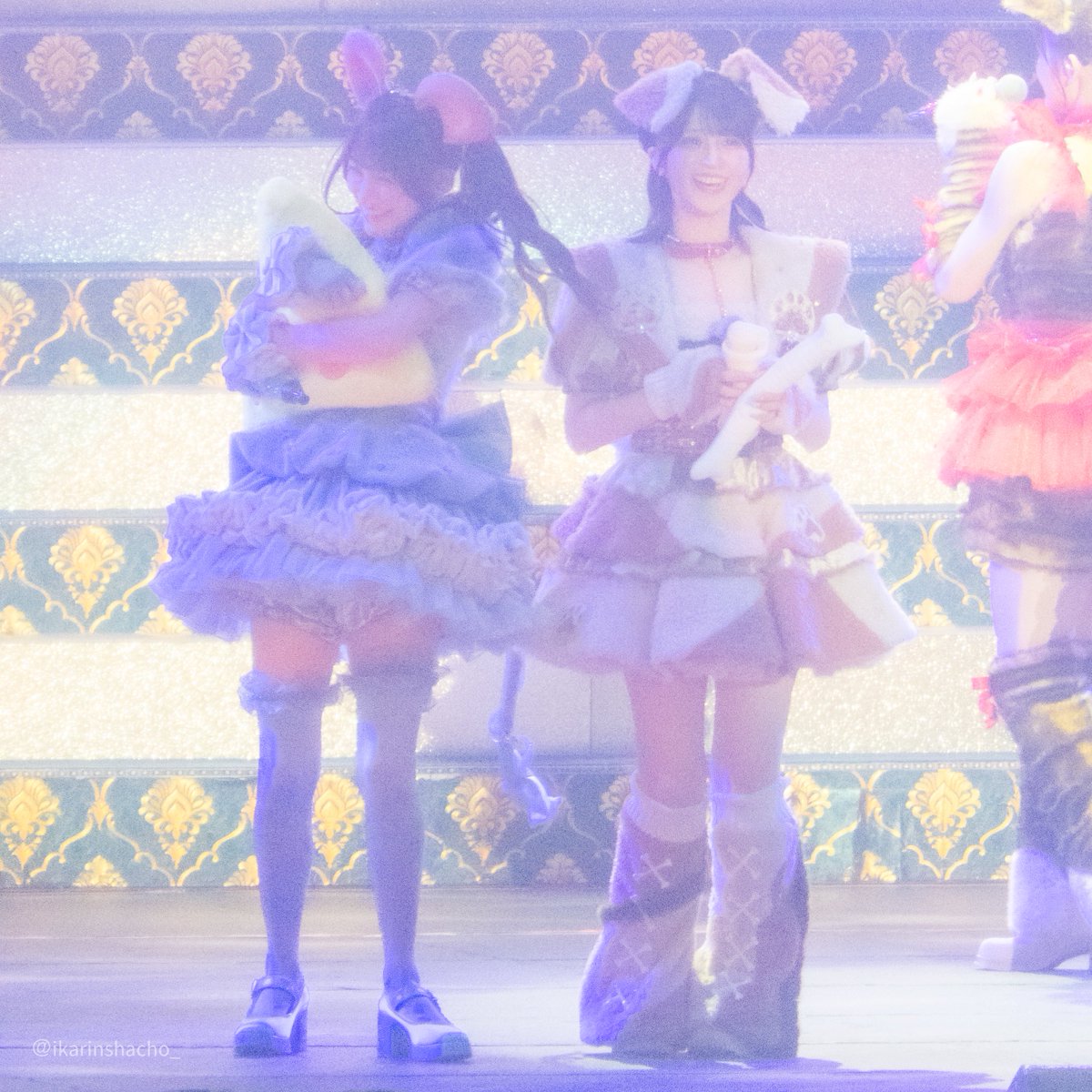 ikarinshacho_'s tweet photo. まだ写真いろいろ漁ってるんですけど　
舞香ちゃん2日目もチーズ狙って骨のプレゼンしてたけど交渉不成立だったみたいで笑

プレゼンしてる舞香ちゃんもだめーって感じのりさちーもかわいいꕤ︎︎·͜·

#イコラブ_カメコ https://t.co/vxIkeTEaIp