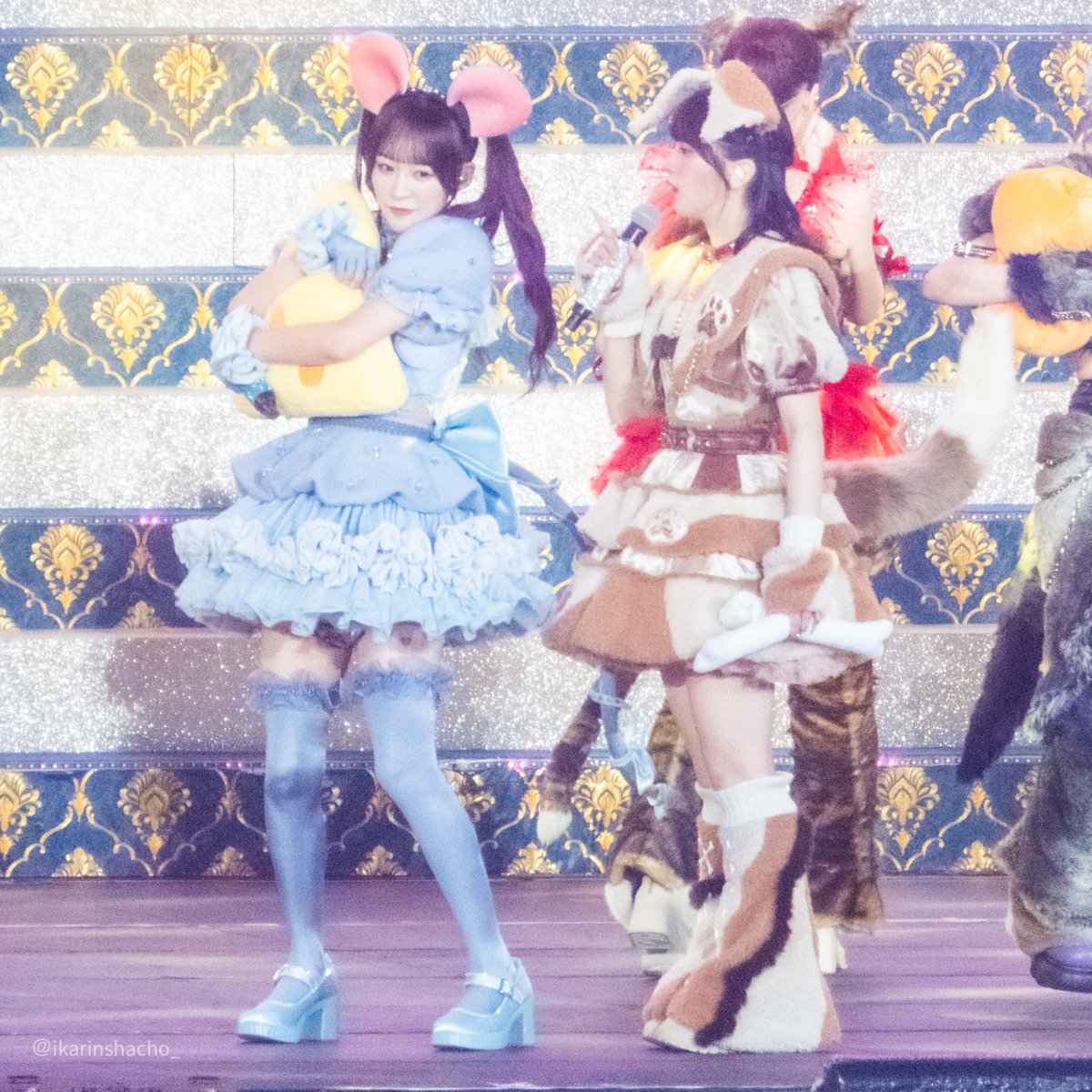 ikarinshacho_'s tweet photo. まだ写真いろいろ漁ってるんですけど　
舞香ちゃん2日目もチーズ狙って骨のプレゼンしてたけど交渉不成立だったみたいで笑

プレゼンしてる舞香ちゃんもだめーって感じのりさちーもかわいいꕤ︎︎·͜·

#イコラブ_カメコ https://t.co/vxIkeTEaIp