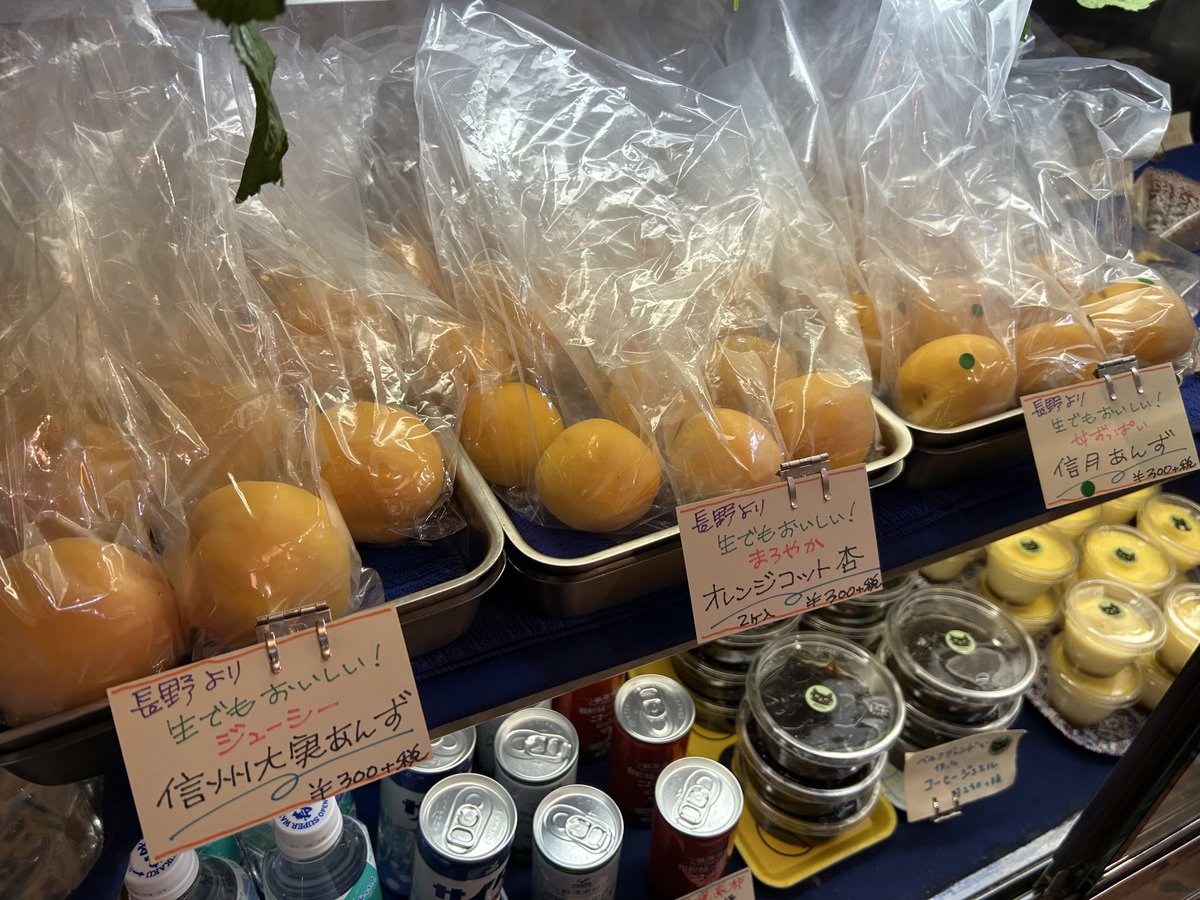 SAKO_BER's tweet photo. 長野からのフレッシュ杏シリーズ。全6種が揃いました。只今は、ジューシーな信州大実、甘ずっぱい信月、まろやかなオレンジコットがございます。生で皮ごと食べられます。美味しい杏をぜひ！

ジビエの山肉デリさんより。
「山肉デリがベルクさんに納品している杏・桃・リンゴ・マルメロは、猪でなく洪水の被害農家さんのものです。2019年千曲川決壊のまさに決壊地点の人なんですよ。農地守ってるの凄くないですか？地区の人口は半減しました。
ちなみにメインの杏の畑は堤防の中の河川敷にあります。この洪水の後も何度も水に浸かりました。土をえぐられ、丸ごと川に落ちて流された木もありました。それでも新しく苗を植える。そこに首都圏や軽井沢の名店から凄い人達が仕入れに来るのです。」