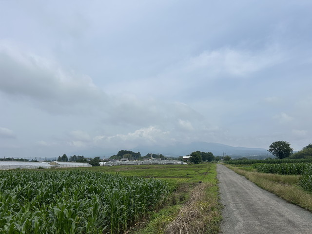 Gunma_Space's tweet photo. 2026年7月1日 – 本日・今朝の赤城山 – 今日も群馬県前橋市より発信。今朝もどんより鉛色の梅雨空。うっすらとすそ野が見える赤城山です。曇りのち雨 30℃/21℃ 今朝のヤブカンゾウ。密集した雑草の中からたくましく咲いておりました。
https://t.co/dvTfSmvhX6 https://t.co/6pd6qQAt7x