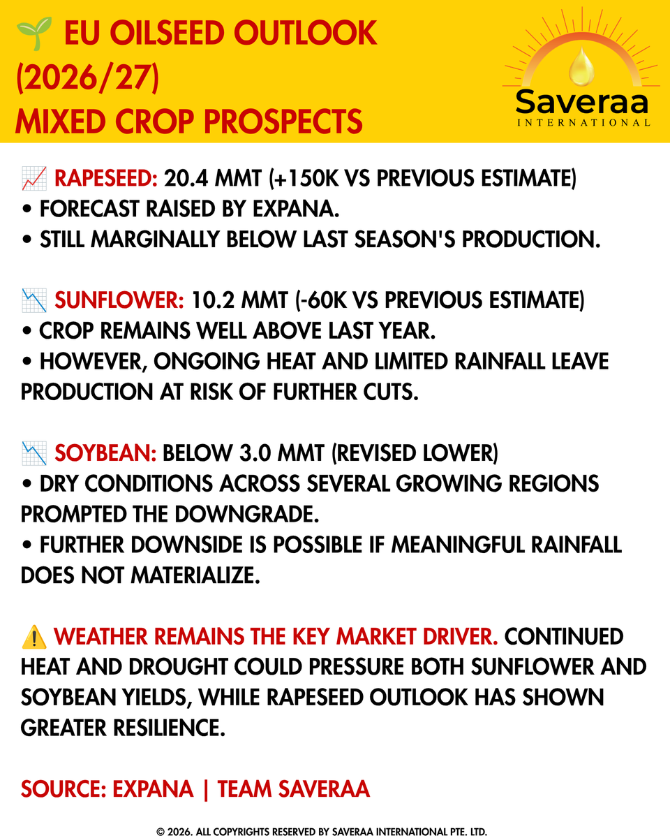 Saveraaintl's tweet photo. 🌱 EU Oilseed Outlook: Rapeseed revised higher, but heat and drought keep sunflower &amp; soybean crops at risk. 
#Oilseeds #Agriculture #EUCrops #Commodities https://t.co/OO4BFyN6rG