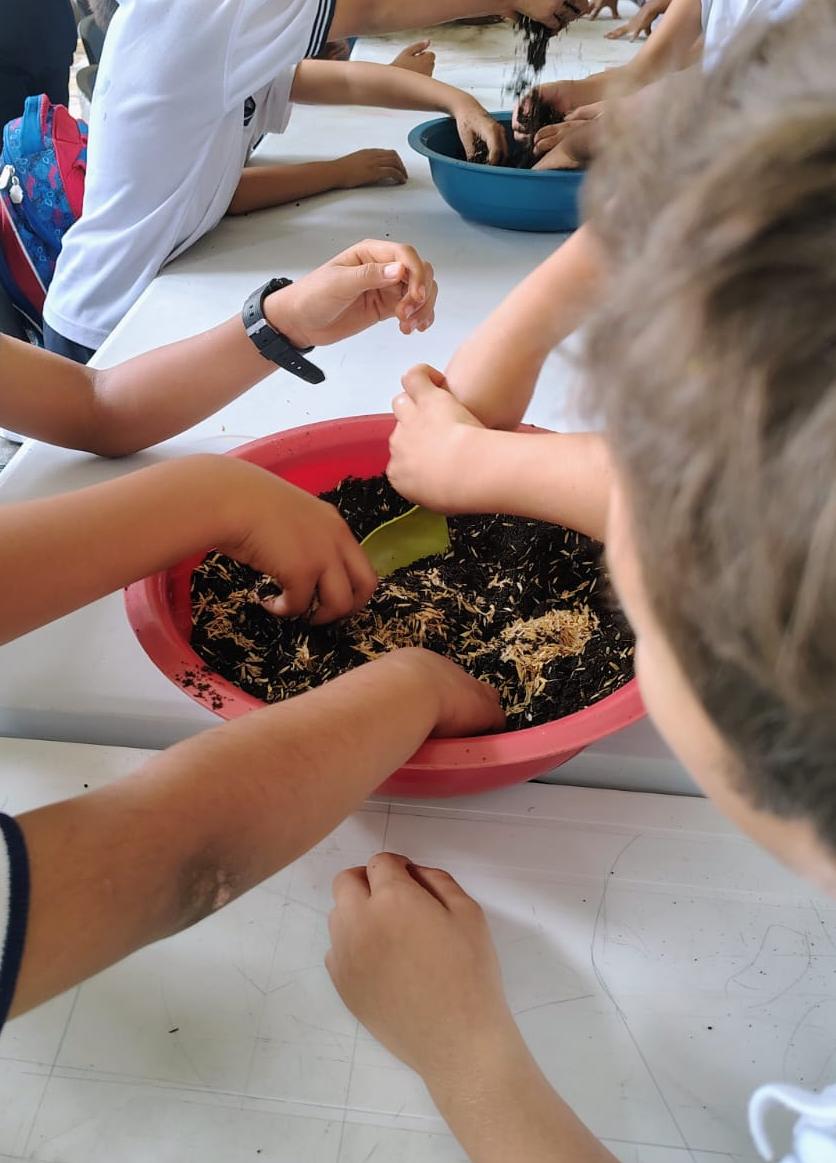 derly_puerto's tweet photo. @ElOIRdelaRegion @mangel0326 @UniversidadUNAD @JaimeLeal_ @RedestUNAD @BabativaJo95760 🌎 🌱 #VIDERzcsur Promovemos la educación ambiental mediante actividades pedagógicas que fortalecen en la niñez el cuidado del suelo, la germinación y el respeto por la naturaleza, sembrando conciencia para un futuro sostenible.💚 #ModeloSISSU En la I.E. Rafael Pombo. https://t.co/CGLOcYSf4g