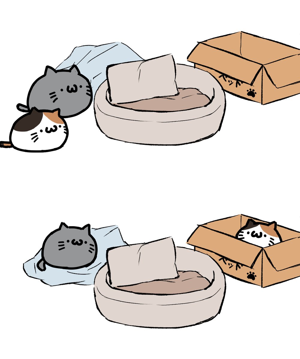 yamatozi201's tweet photo. ねこベッド https://t.co/oka8FTIOi1