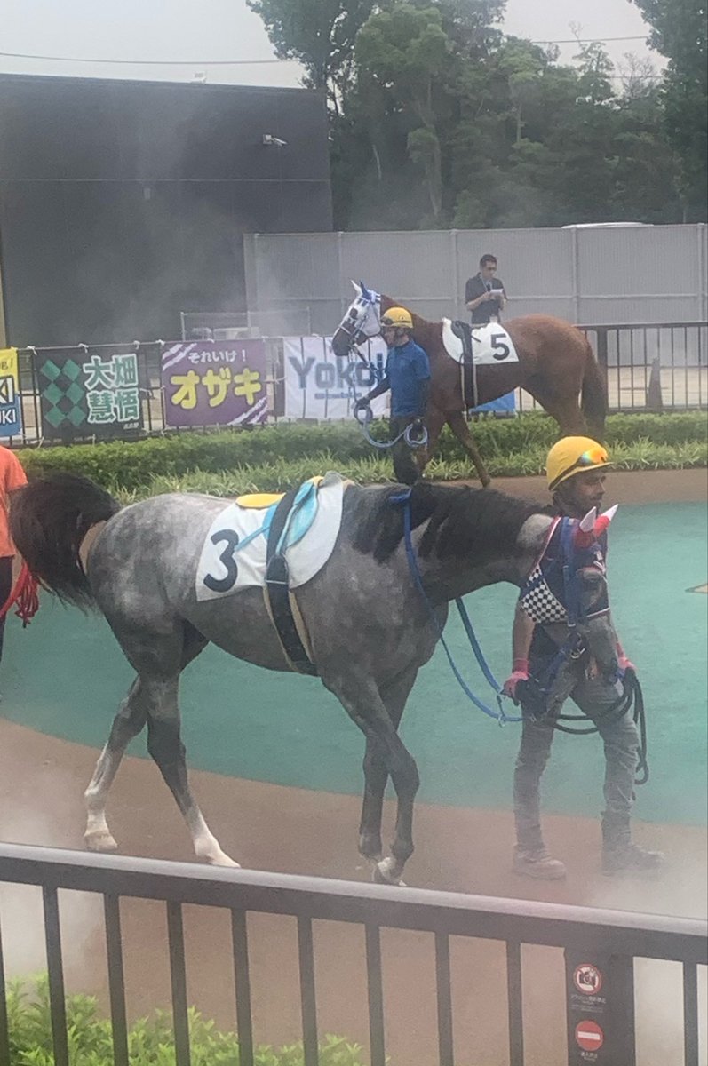 名古屋競馬にアマビエ🦐ちゃんの応援に来たんだけど 最後かなり落ち