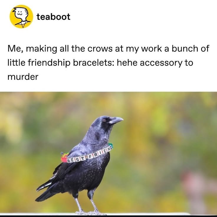 The_Regal_Raven's tweet photo. https://t.co/g4tM5FqQAV