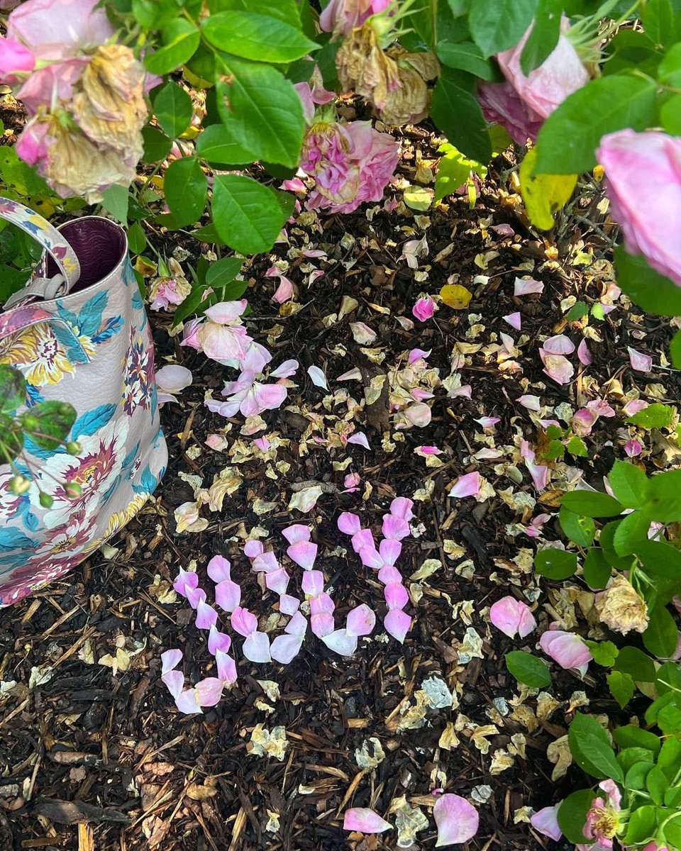 yasmine_oozeear's tweet photo. Hello July 🗒️ 🩷
May the 🆕 month brings us more inspiration, more creativity , more insight and more opportunities 🩷
#JoyfulJuly
Good morning gentle souls ☕️🩷 https://t.co/7KRr4PvnbF