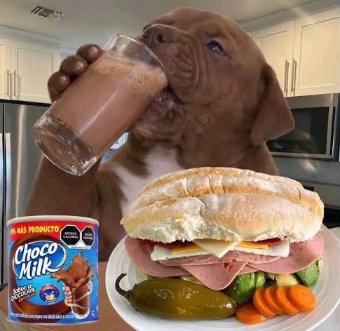 aestteteggukk's tweet photo. La gente: Qué le dieron de comer a Morita para que juegue como un veterano??

El desayuno de campeones que le hizo don Memo Ochoa: https://t.co/0kAKvfARzG