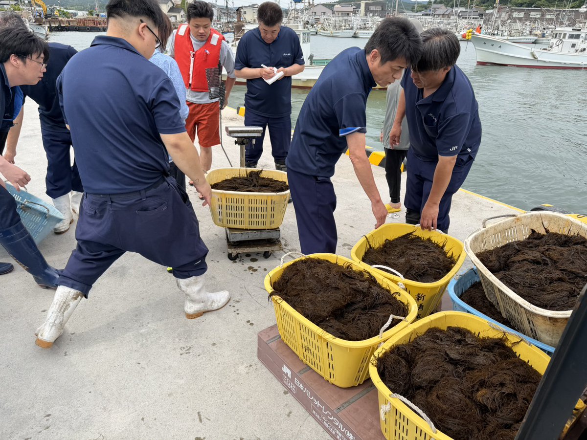 JFishikawa's tweet photo. 輪島港では海女漁も始まりました！

最初はモズクからとのことです。
夏が始まりますね！ https://t.co/PmfHN9qyqh