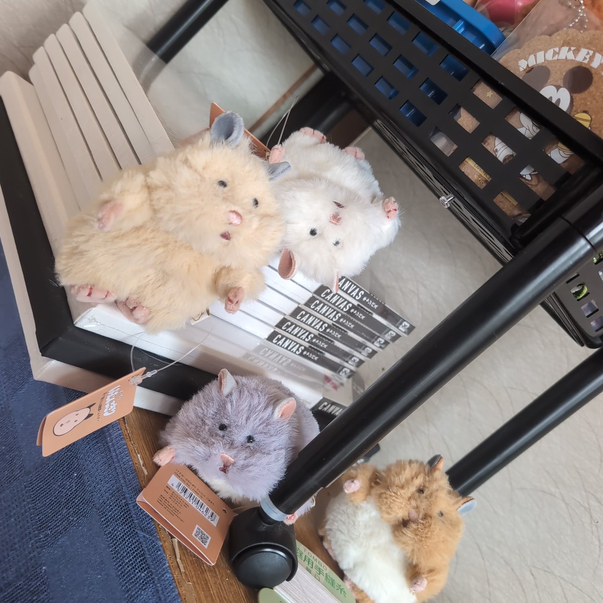 rie0727t's tweet photo. ここって天国だった？？🐹❤️‍🔥 https://t.co/DXadXaoXrZ