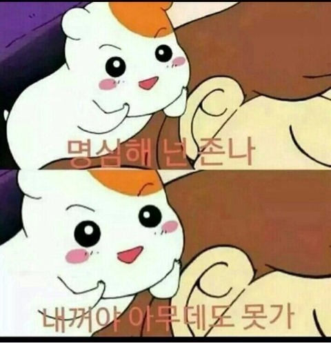 몽님 tweet media