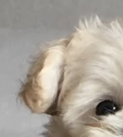 win_talk_ter's tweet photo. 수제비와 수제비 https://t.co/6wVsxDAqWy
