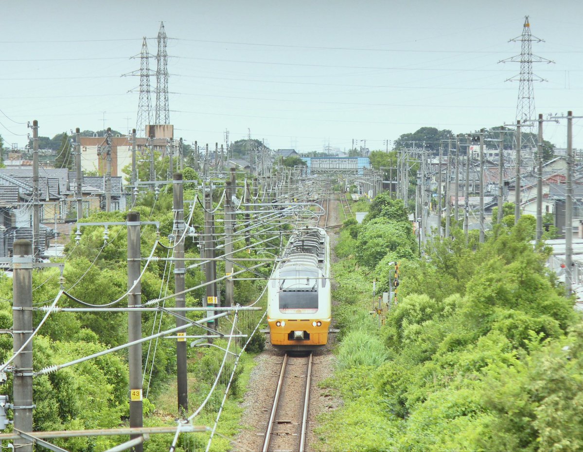 ME50GEB2's tweet photo. 新潟市郊外、緑と電柱のゴチャゴチャ感がたまらない🌳

定番この色も今月下旬には二分の一に🌾 https://t.co/LppgXAE4uZ