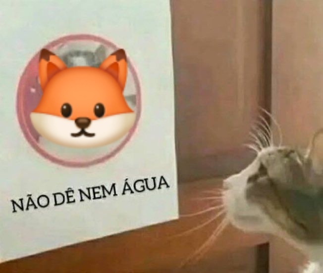 FYEGLO_'s tweet photo. "Se viu a briga no twitter" 

Meu twitter: 

Dito isso viva às tigers 😝😝😝🐯 https://t.co/Vd3bkZhxjN