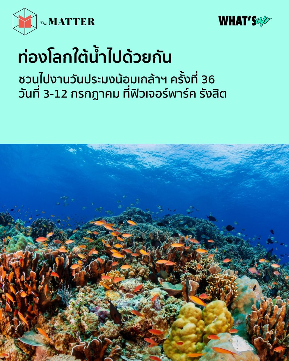 thematterco's tweet photo. ใครรักท้องทะเล ชวนไปงานวันประมงน้อมเกล้าฯ ครั้งที่ 36 ในธีม ‘Amazing Aquatic Thailand : มหัศจรรย์สายน้ำแห่งเมืองไทย’ กัน
 
งานนี้มีโลกใต้มหาสมุทรรอให้เราไปสัมผัส ทั้งปลาหลากสายพันธุ์ พรรณไม้น้ำชนิดต่างๆ และโชว์อีกมาก

ที่ศูนย์การค้าฟิวเจอร์พาร์คและสเปลล์ วันที่ 3-12 กรกฎาคมนี้ https://t.co/2vGLwVzi5t