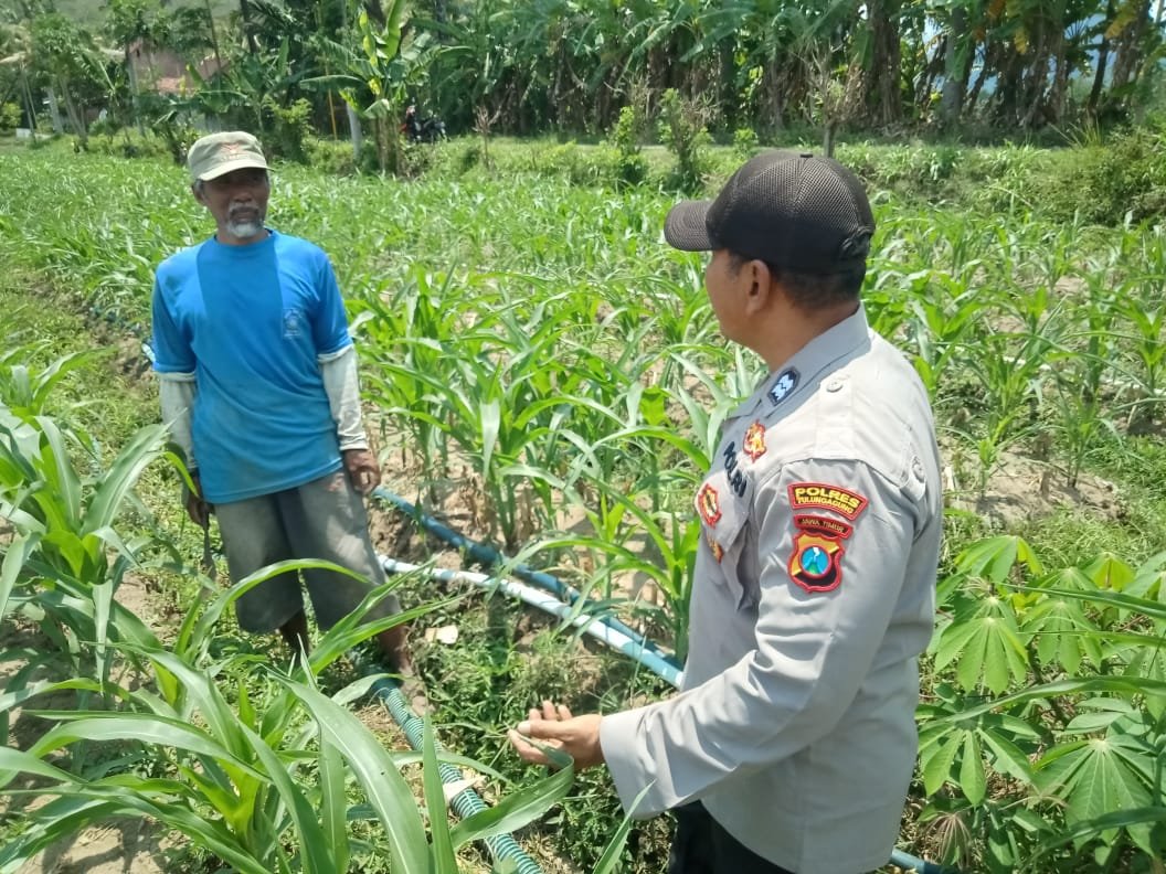 Sekalidawir's tweet photo. Bhabinkamtibmas Desa Tulungrejo Kecamatan Besuki mendampingi petani menanam jagung di lahan baku https://t.co/dXkIfXTOEF