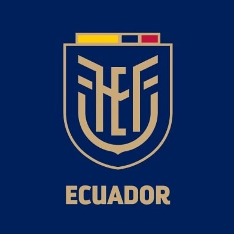 SpideyMoradoo's tweet photo. 🚨ULTIMA HORA: Piero Hincapié y la selección nacional de Ecuador se pierden el próximo partido del mundial. https://t.co/S2FlKhfh7u