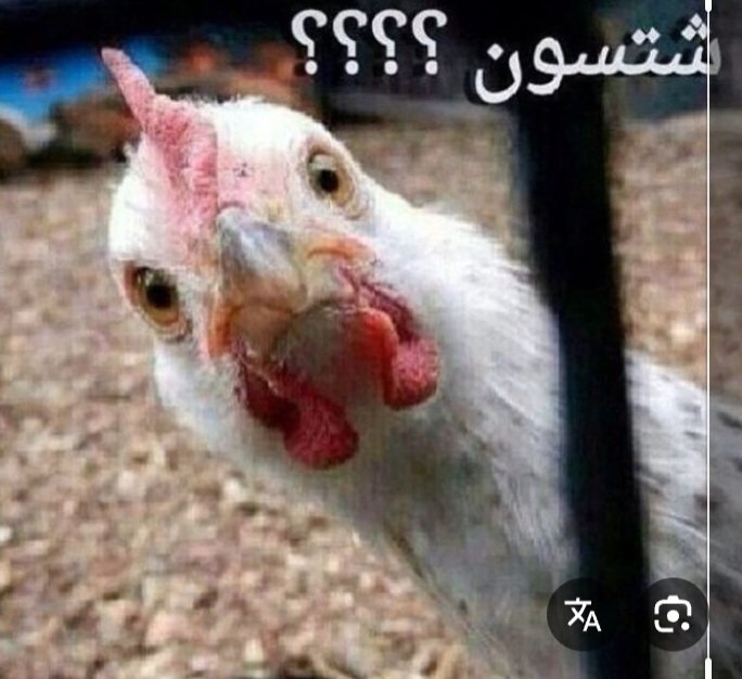 j7vmtkk's tweet photo. اموت بالمص 🍆 🇰🇼🇰🇼 https://t.co/sQ8AOa2aWd