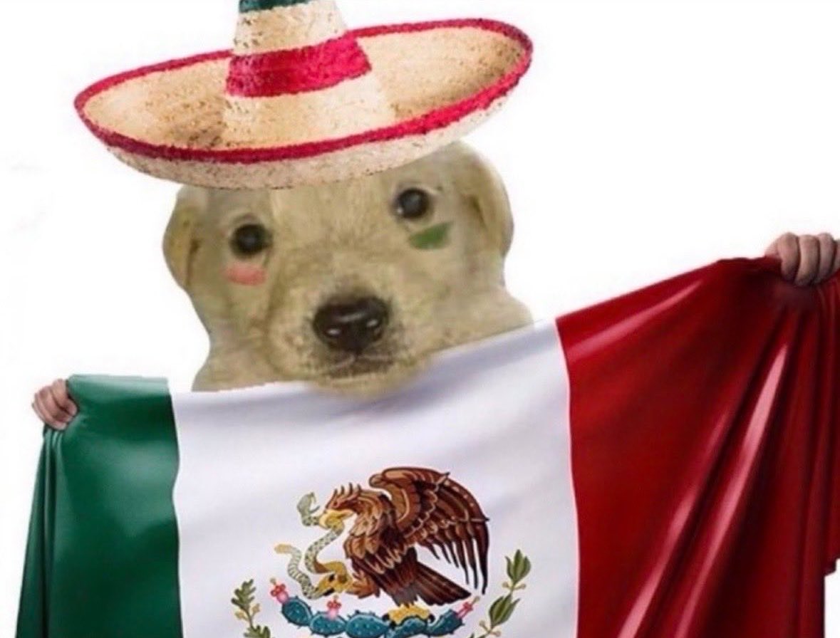 ElAlexQuackity's tweet photo. MEXICOOOOOOOOOO 2 - 0 QUIERO LLORAR NO PUEDE SER 💚💚💚💚 SIGUE EN EL MUNDIAL!!! https://t.co/WVhHZiJgyI