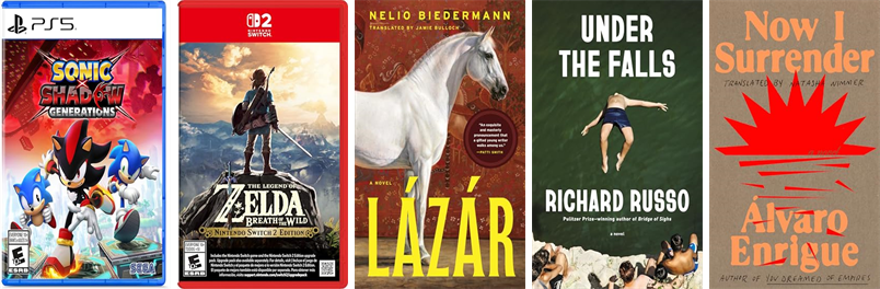 CHBoothLibrary's tweet photo. This week the Cyrenius H. Booth Library has sixteen new books.  New items include Sonic X Shadow Generations, The Legend of Zelda, Lßzßr, Under the Falls, Now I Surrender, We Are Gathered Here Today, Sunrise, A Tender Age, Etna, The Disappearers, and DΦy. https://t.co/soyfSsakS3 https://t.co/syTBKeCjcx