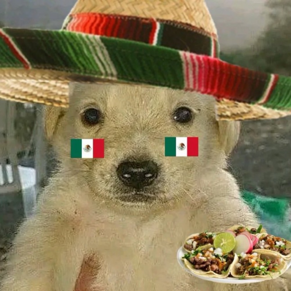 JustFreshKicks's tweet photo. Mexico is advancing to the Round of 16 🇲🇽 https://t.co/h7KOFIyJHh