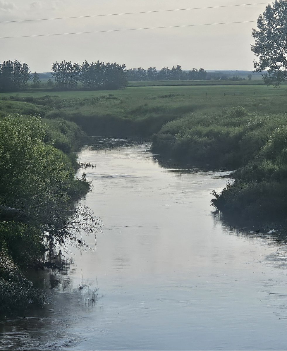 Geetee_123's tweet photo. The sleepy little river running through our place out here #inthesticks has had its ups and downs this past month.
Happy Canada Day 🇨🇦 https://t.co/7ma4BSr1yN