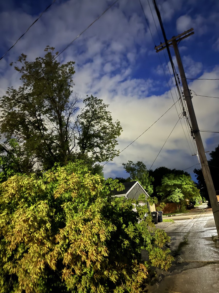 Fritzsche11's tweet photo. @manitobahydro downed tree on powerline https://t.co/I6oFm73oJs