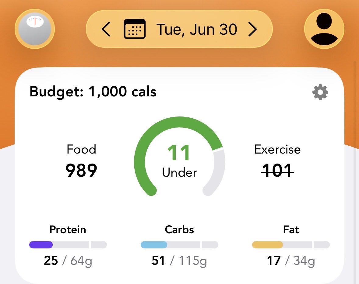wordvomit_7's tweet photo. June 30 🩰

129.8 lbs (OMG out of 130s jail 😭)
989 kcal
8376 steps https://t.co/IY417tUjJM