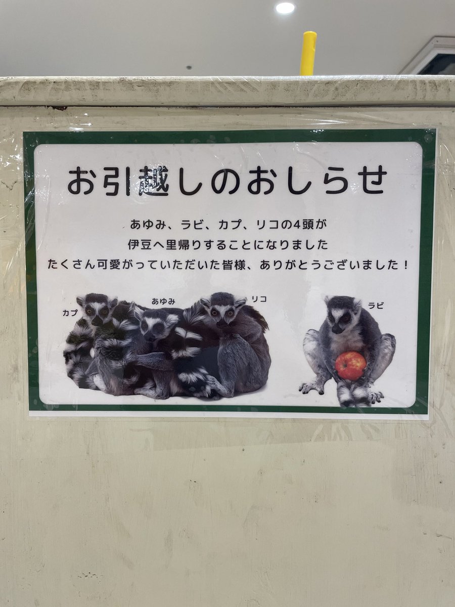 02060214's tweet photo. 昨日から放心状態です💦
いつ？まだしばらくいるの？
全員いなくなっちゃうなんて。。 https://t.co/sjFGE0kg7D