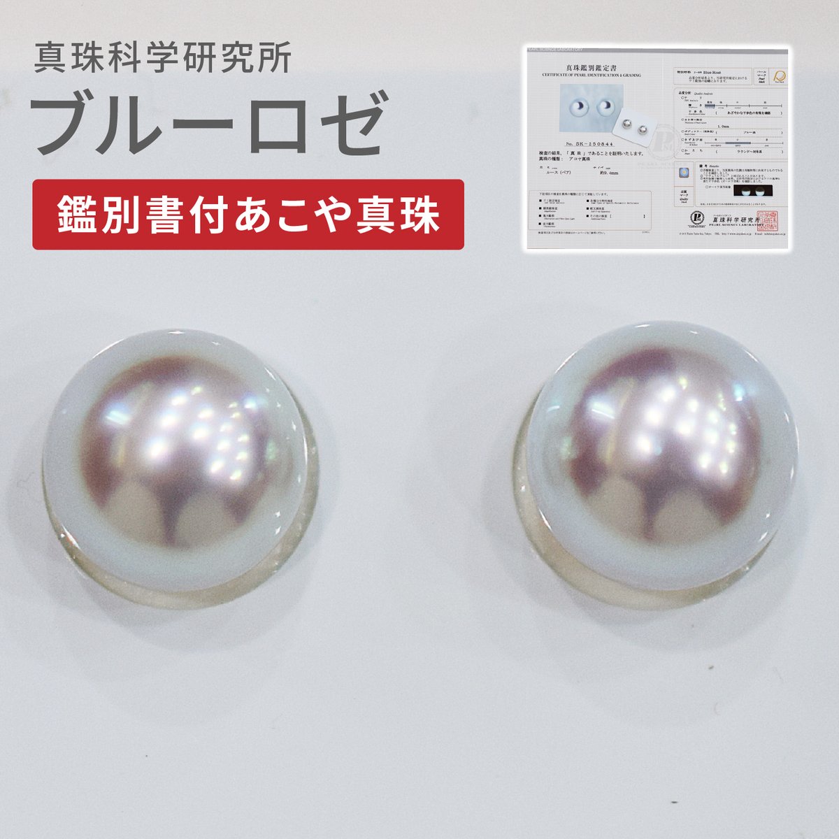reenspearl's tweet photo. <新商品追加>
真珠科学研究所証明書付ナチュラルカラーのあこや真珠「ブルーロゼ」のペアルースを商品ページに追加いたしました！✨
▼商品ページ（BASE）▼
https://t.co/Tc3SHda3vE https://t.co/oSx5z4yRKE
