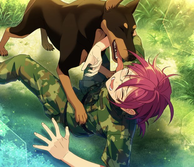 wakarin0825's tweet photo. 茨くんが動物に好かれてるのめちゃくちゃ好きなんだよね
もっと欲しい。動物と戯れてる茨くんが。
私蚊しか寄ってこないのに。 https://t.co/L50yuRLmg9