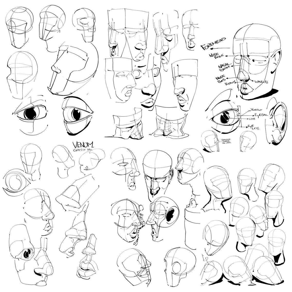 cubesketches's tweet photo. Just a bunch of loose head studies
#drawing
#headconstruction
#art
#sketching https://t.co/gk6ZB73MMv