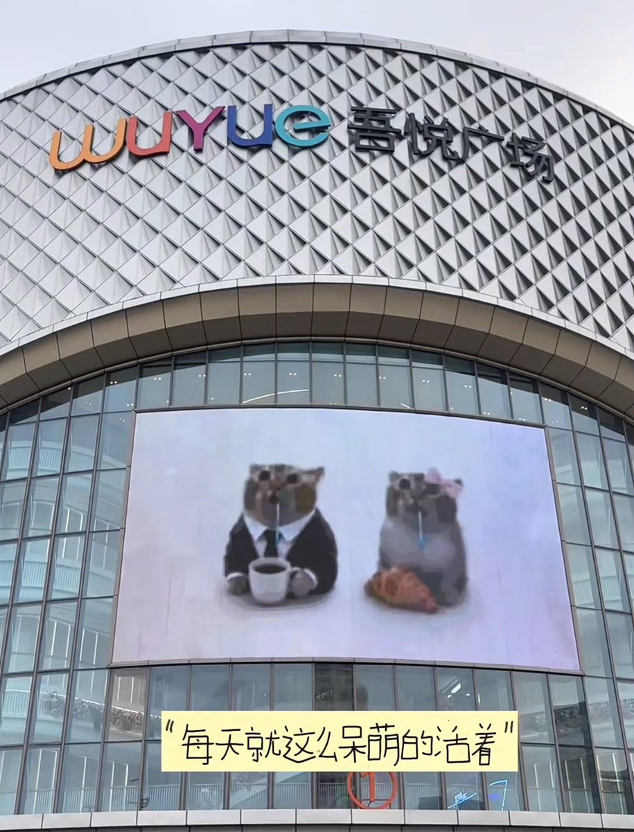 2024popcat's tweet photo. ๅฑฑไธ็ๆฝๅๅธๅพๆฆๅนฟๅบใ
#droolingcat https://t.co/s7KJAfzpTT
