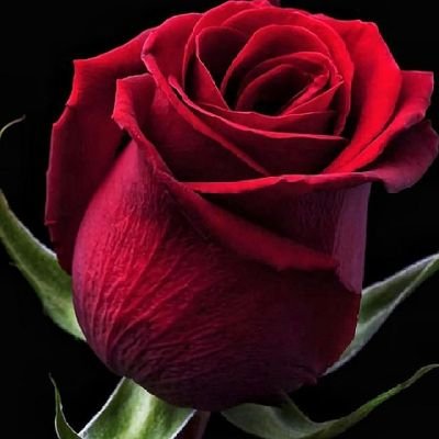 mturtmen's tweet photo. Boş versene, kulaklarını tıkayıp kalbinle duyabiliyor musun ondan bahset.
#Günaydın
#çarşamba https://t.co/DCArsKMWPl