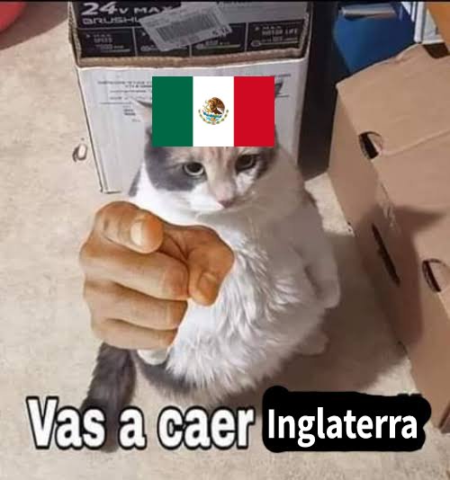 erickraven5220's tweet photo. @StokeyyG2 LAS NOCHES FRIAS Y LLUVIOSAS DE STOKE NO SE COMPARA A LO QUE SE LE CONOCE COMO "VIERNES BOTANERO" 🗣️🗣️🗣️ https://t.co/YTb1WapPbq