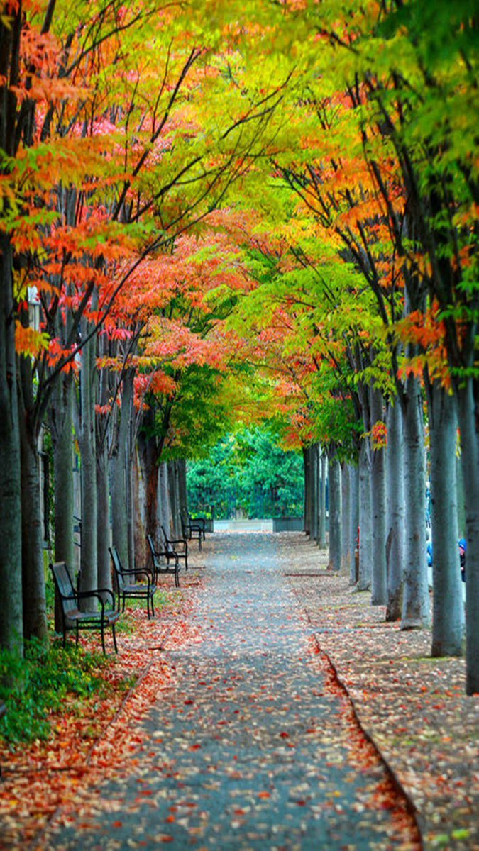 SaimNature's tweet photo. #Nature
#travelphotography
#Photoby https://t.co/sv7yFIBfj4