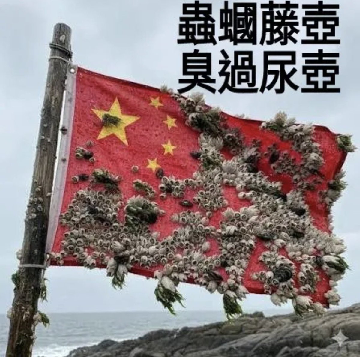 tsui_yao's tweet photo. @QuanLujun 不用跟牆國腦殘講那麼多，牠們聽不懂！
共產黨都去吃屎💩就對了！ https://t.co/CHYHeZsz7d