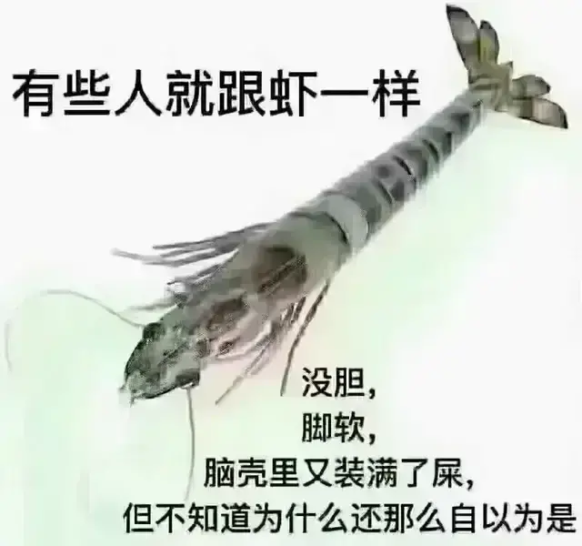 om3ztx1's tweet photo. @popodaddy726 傻逼居民还来优越感了 https://t.co/iJ1Zsx0wJo