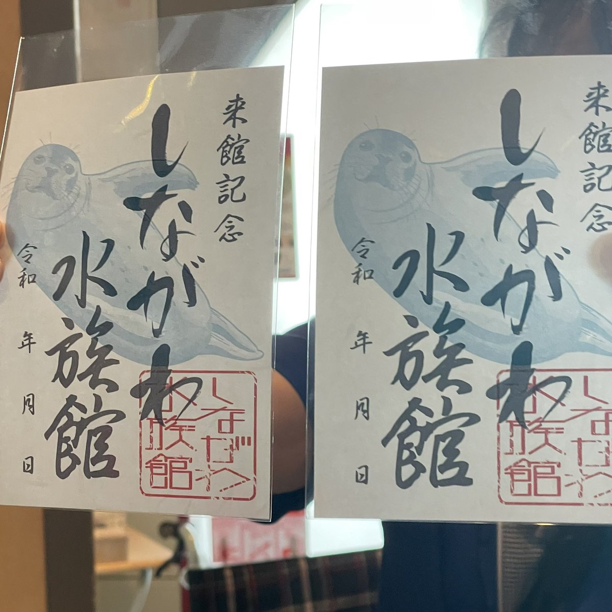 しながわ水族館 tweet media