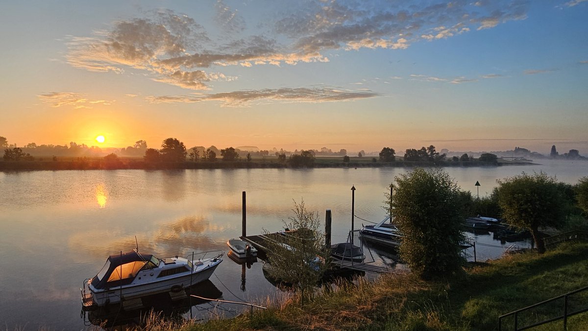 Motormiss's tweet photo. Een halve minuut genieten van zonsopgang, nevelsluiers, vogelgeluiden, rust en onze mooie Afgedamde Maas 👀 en wat foto's van mijn heerlijk frisse ochtendrondje 
#zonsopgang #afgedamdemaas #Andel #Altena #rustmoment https://t.co/5XoypjcsUB