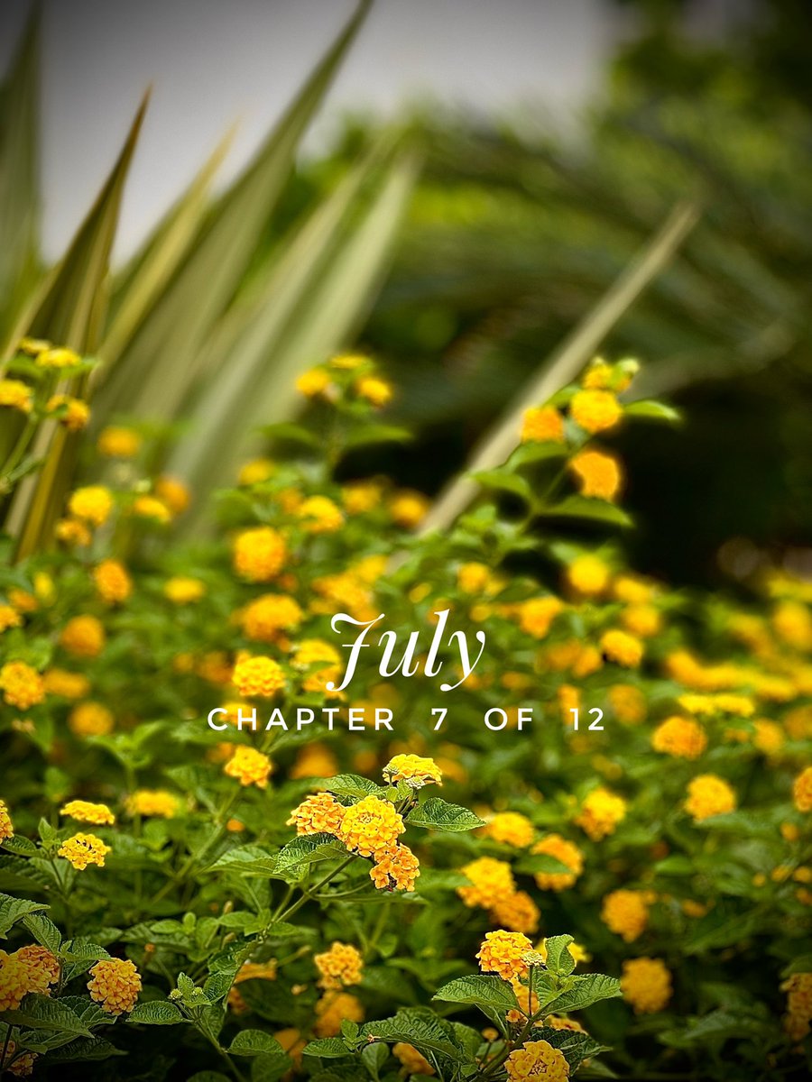 bellarosa000's tweet photo. J U L Y
…. the heart of summer 💛
Chapter 7 of 12
#HeaderUpdate https://t.co/t9IB08n0LS