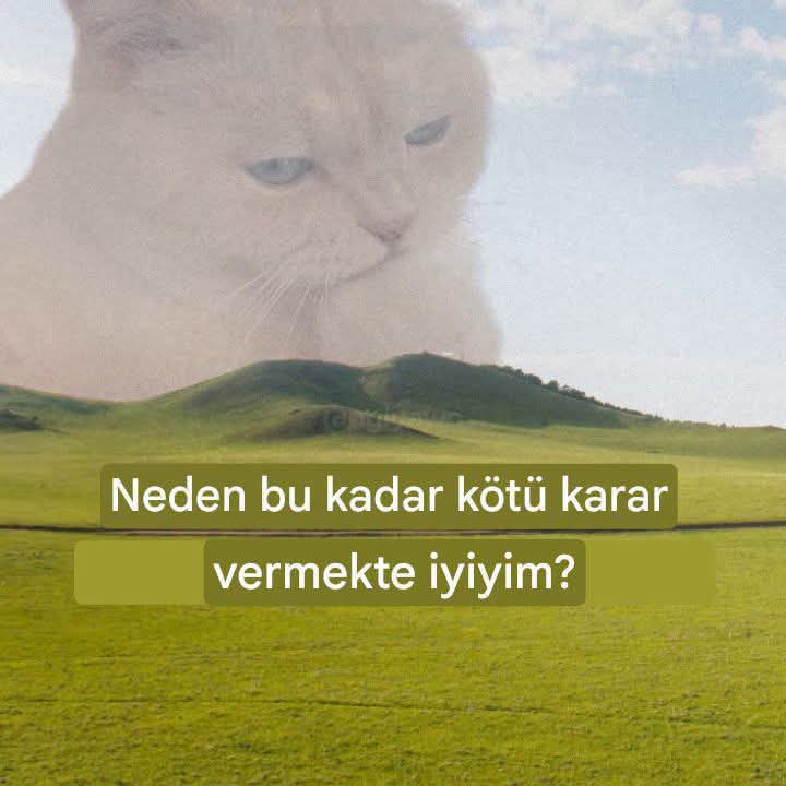 oliverk970's tweet photo. Gülüşünü kaybedersen, tekrar geri kazanabilirsin.
Ama duruşunu kaybedersen gülüşünü
hiç kazanamazsın...! Günaydın ☕ https://t.co/Iuz8wz4WVr