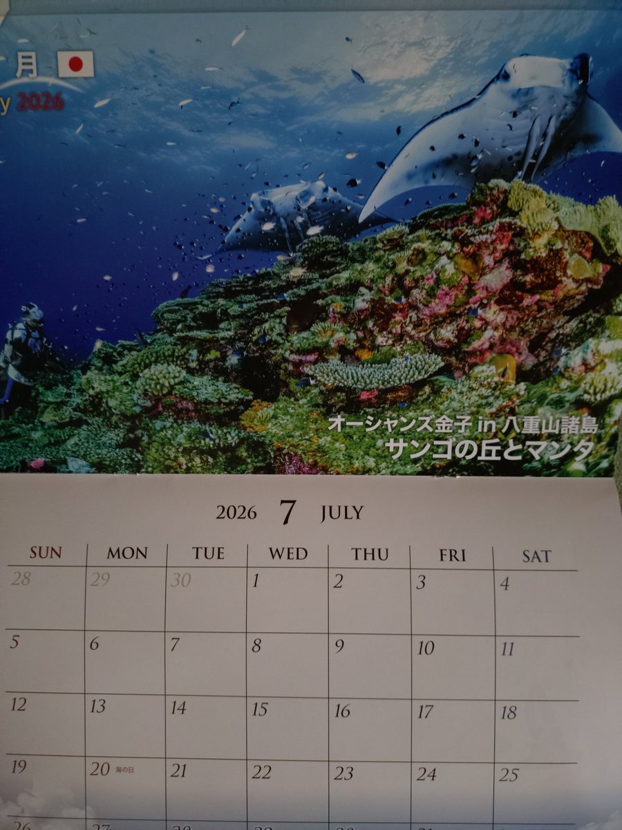 ryo960725's tweet photo. 🌍️イッテQカレンダー2026 7月🌎️

オーシャンズ金子in八重山諸島🇯🇵
【サンゴの丘とマンタ】 https://t.co/5azRkBZfpy