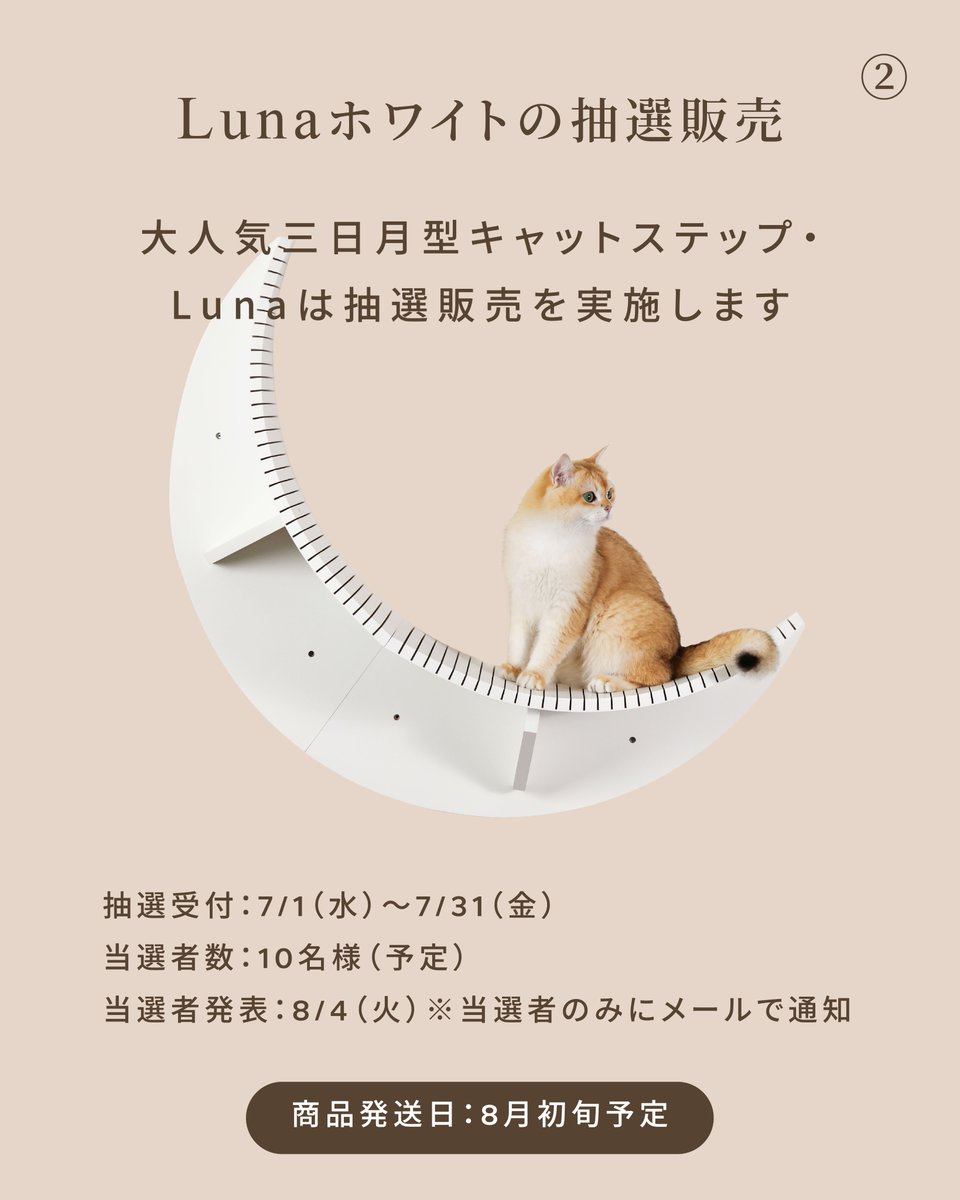 MYZOO / マイズー (@myzoojapan) / Posts / X
