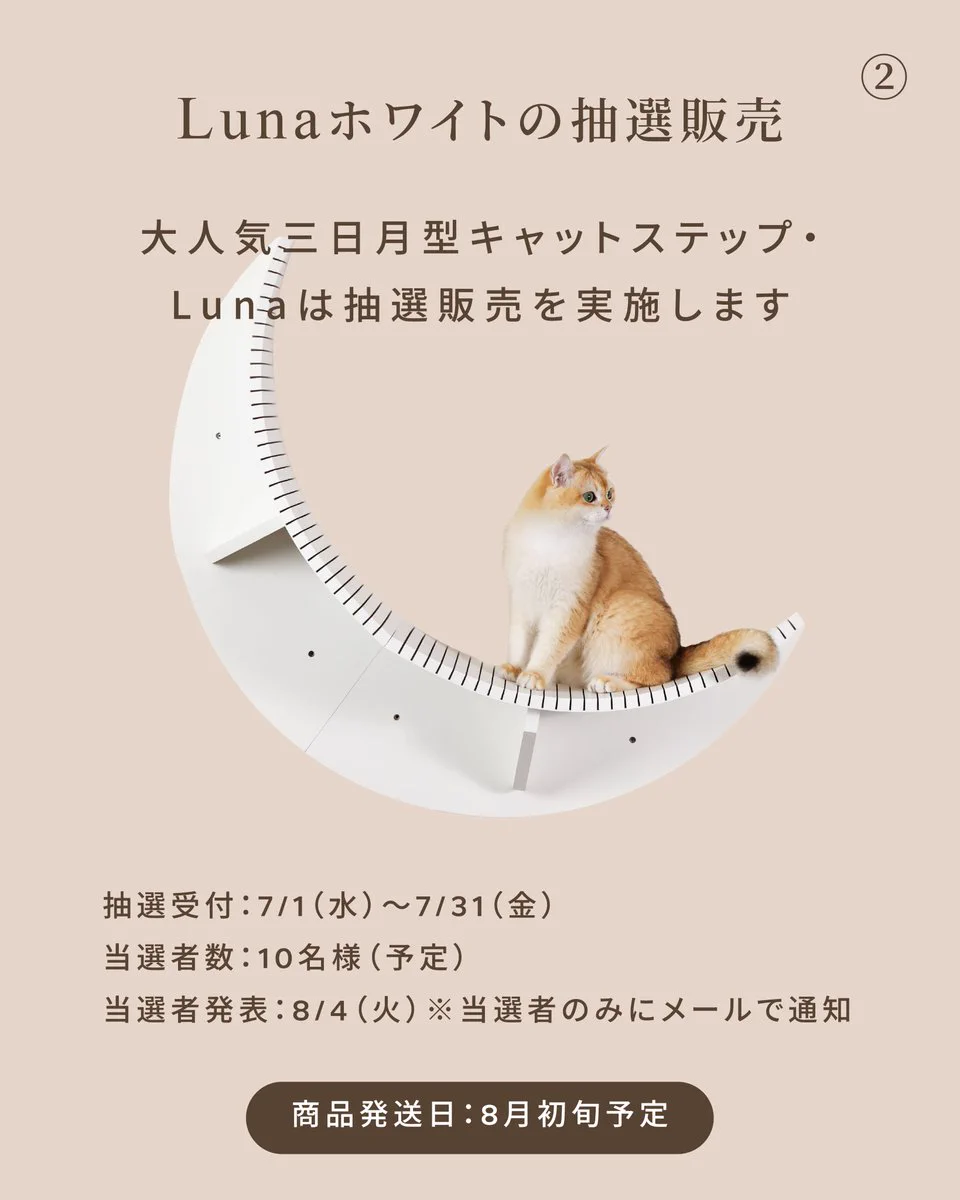 MYZOO / マイズー on X: 