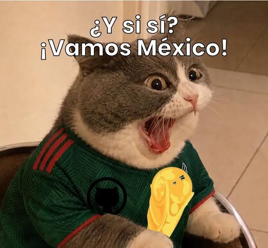 Ephikoko's tweet photo. No me quiero ilusionar pero....... https://t.co/4Q4Djfo8rB